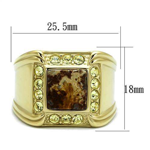 TK3013 - IP Gold(Ion Plating) Stainless Steel Ring with Semi-Precious Oligoclase in Smoked Quartz - Alamode - Flyclothing LLC