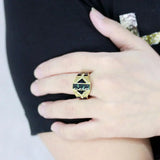 TK3721 - IP Gold(Ion Plating) Stainless Steel Ring with AAA Grade CZ in Black Diamond - Alamode - Flyclothing LLC