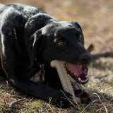 Tough Bone Nylon Chew Bone | Ultra-Durable Dog Toy for Aggressive Chewers | SodaPup - SodaPup/True Dogs, LLC - Flyclothing LLC