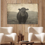 Vintage Angus Portrait Canvas Wall Art - Tailored Canvases - Flyclothing LLC