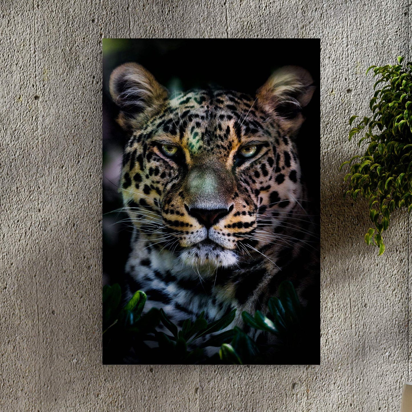 Sneaky Jungle Leopard Portrait Canvas Wall Art - Tailored Canvases - Flyclothing LLC