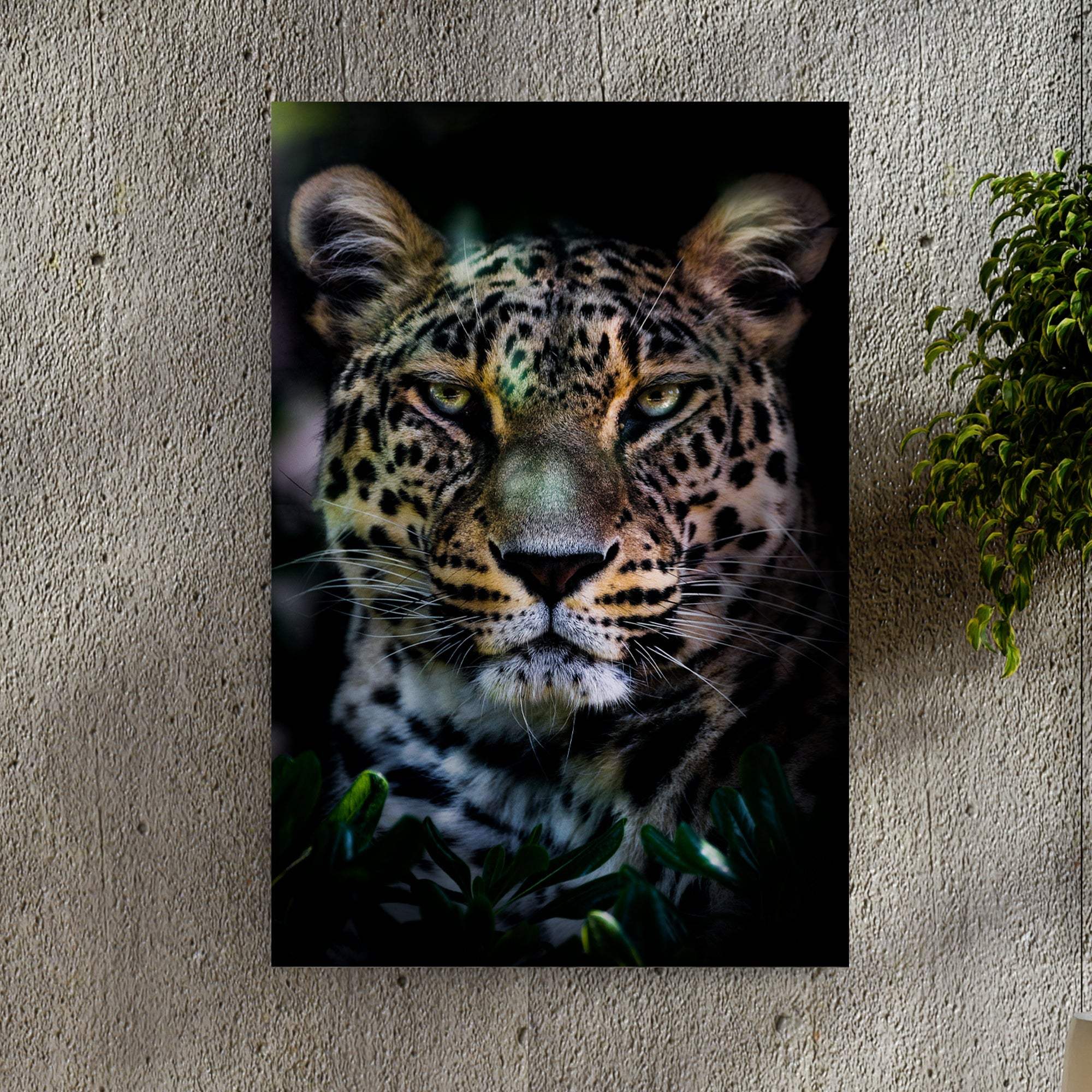 Sneaky Jungle Leopard Portrait Canvas Wall Art - Tailored Canvases - Flyclothing LLC