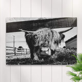 Curious Highland Cattle Monochrome Canvas Wall Art - Tailored Canvases - Flyclothing LLC
