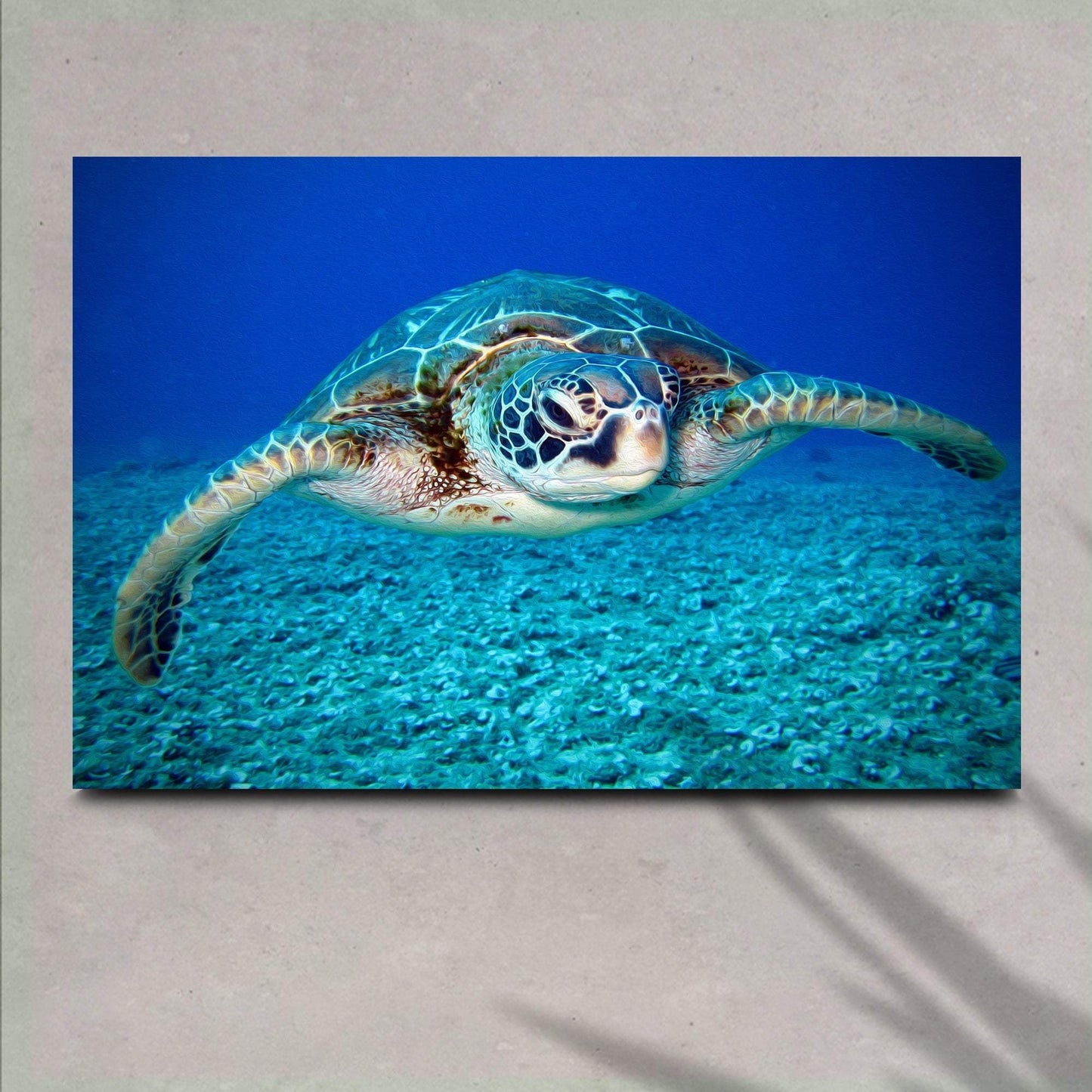 Green Sea Turtle Canvas Wall Art - Tailored Canvases - Flyclothing LLC