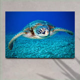 Green Sea Turtle Canvas Wall Art - Tailored Canvases - Flyclothing LLC