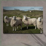 Flock Of Sheep Canvas Wall Art - Tailored Canvases - Flyclothing LLC