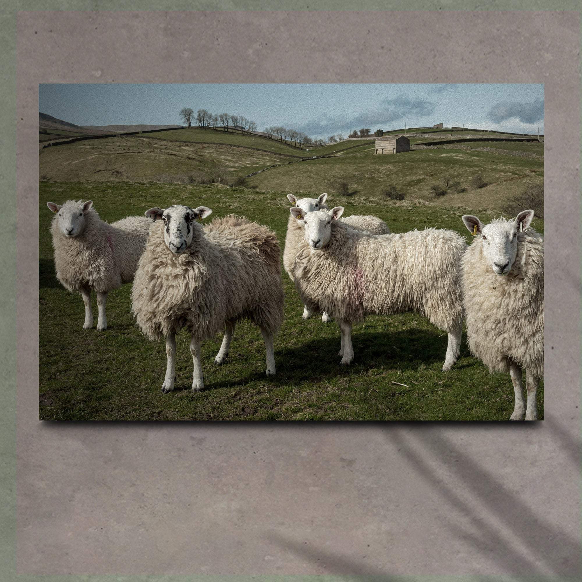 Flock Of Sheep Canvas Wall Art - Tailored Canvases - Flyclothing LLC