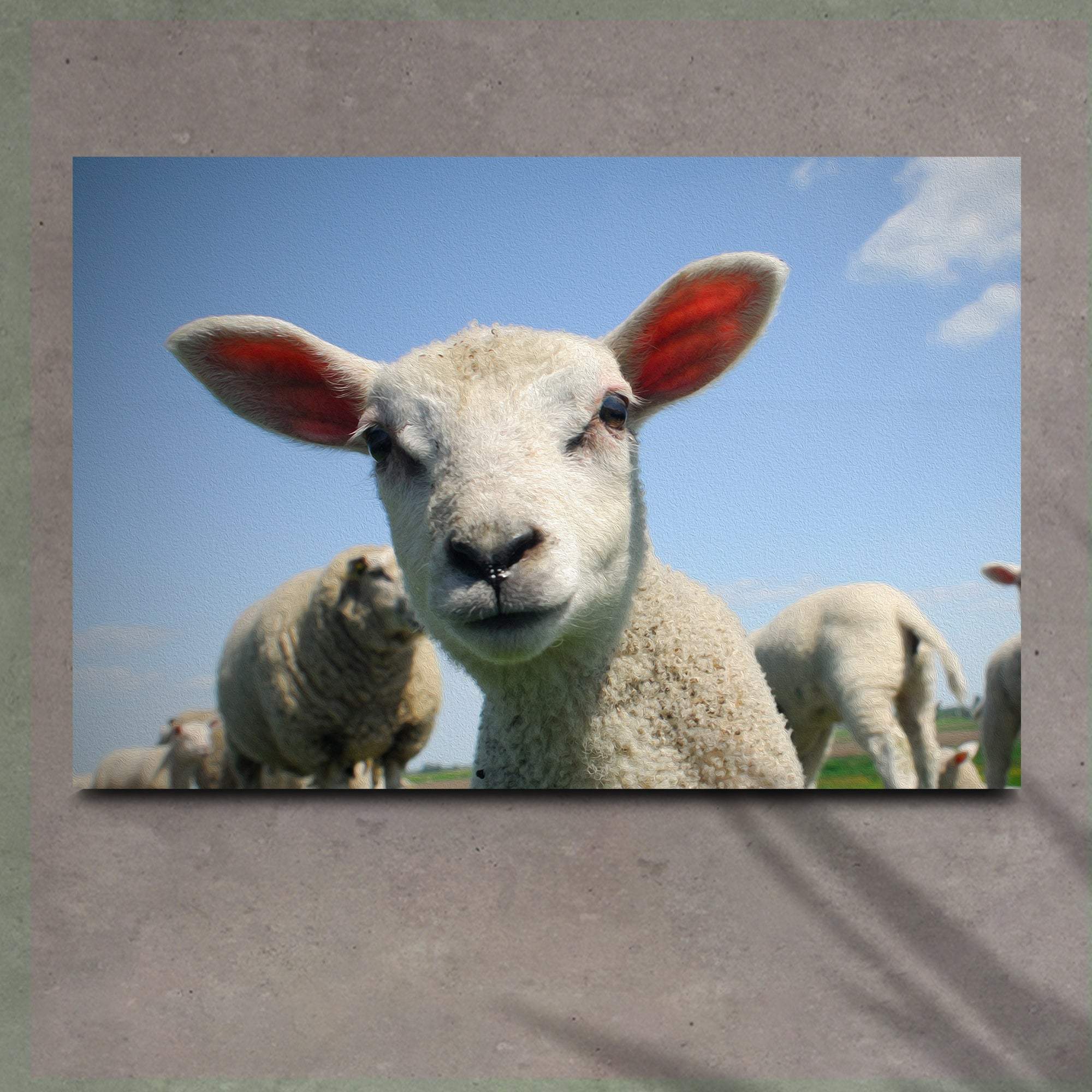 Curious Lamb Canvas Wall Art - Tailored Canvases - Flyclothing LLC
