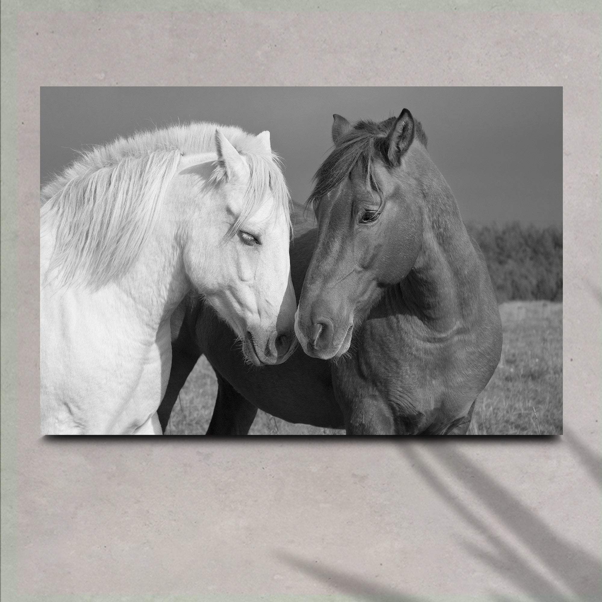 Horse Love Canvas Wall Art - Tailored Canvases - Flyclothing LLC