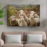 Curious Sheep Canvas Wall Art - Tailored Canvases - Flyclothing LLC