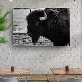 Black and White Bison Canvas Wall Art - Tailored Canvases - Flyclothing LLC