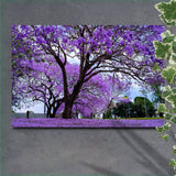Jacaranda Trees Canvas Wall Art - Tailored Canvases - Flyclothing LLC