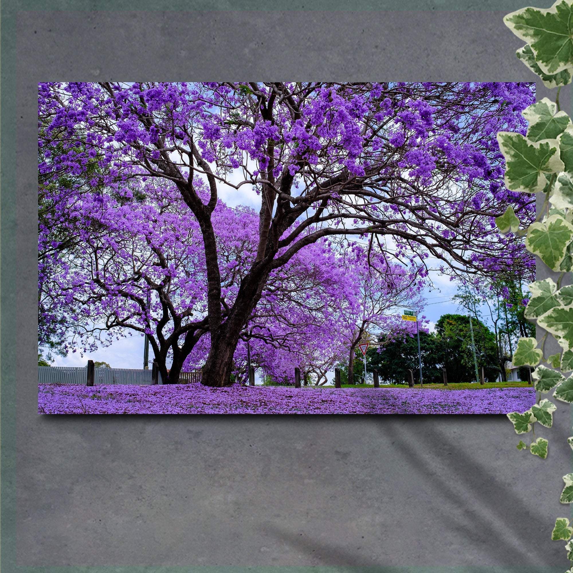 Jacaranda Trees Canvas Wall Art - Tailored Canvases - Flyclothing LLC