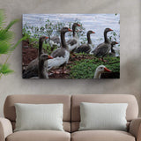 Flock Of Domestic Geese Canvas Wall Art - Tailored Canvases - Flyclothing LLC