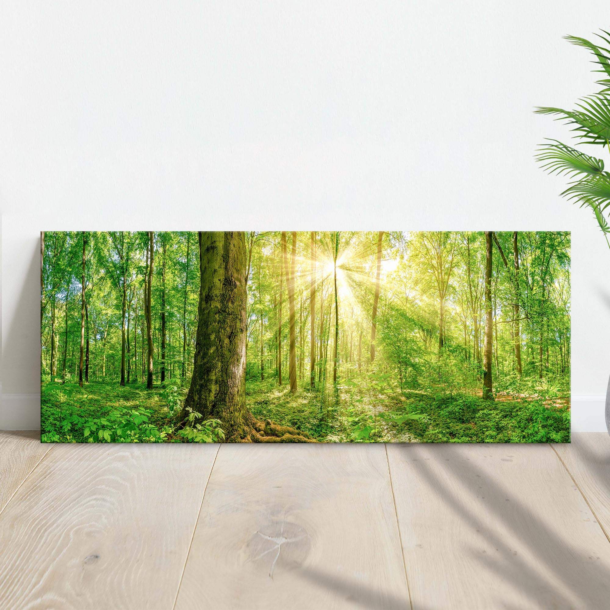 Golden Rays Into The Forest Canvas Wall Art - Tailored Canvases - Flyclothing LLC