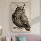 Owl Pencil Sketch Portrait Canvas Wall Art - Tailored Canvases - Flyclothing LLC
