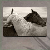 Monochrome Couple Horse Canvas Wall Art - Tailored Canvases - Flyclothing LLC