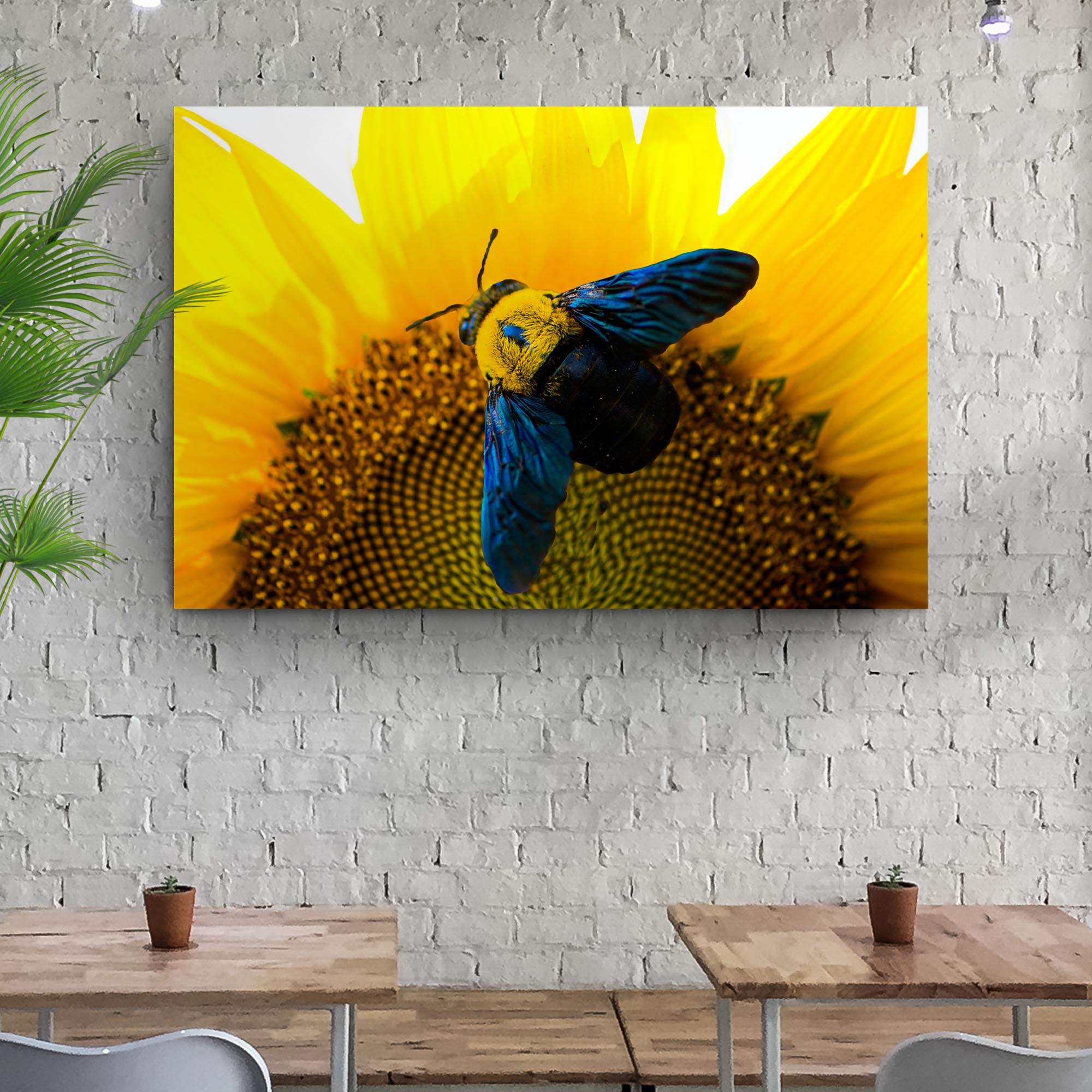 Bee Hoverfly Above A Sunflower Canvas Wall Art - Tailored Canvases - Flyclothing LLC