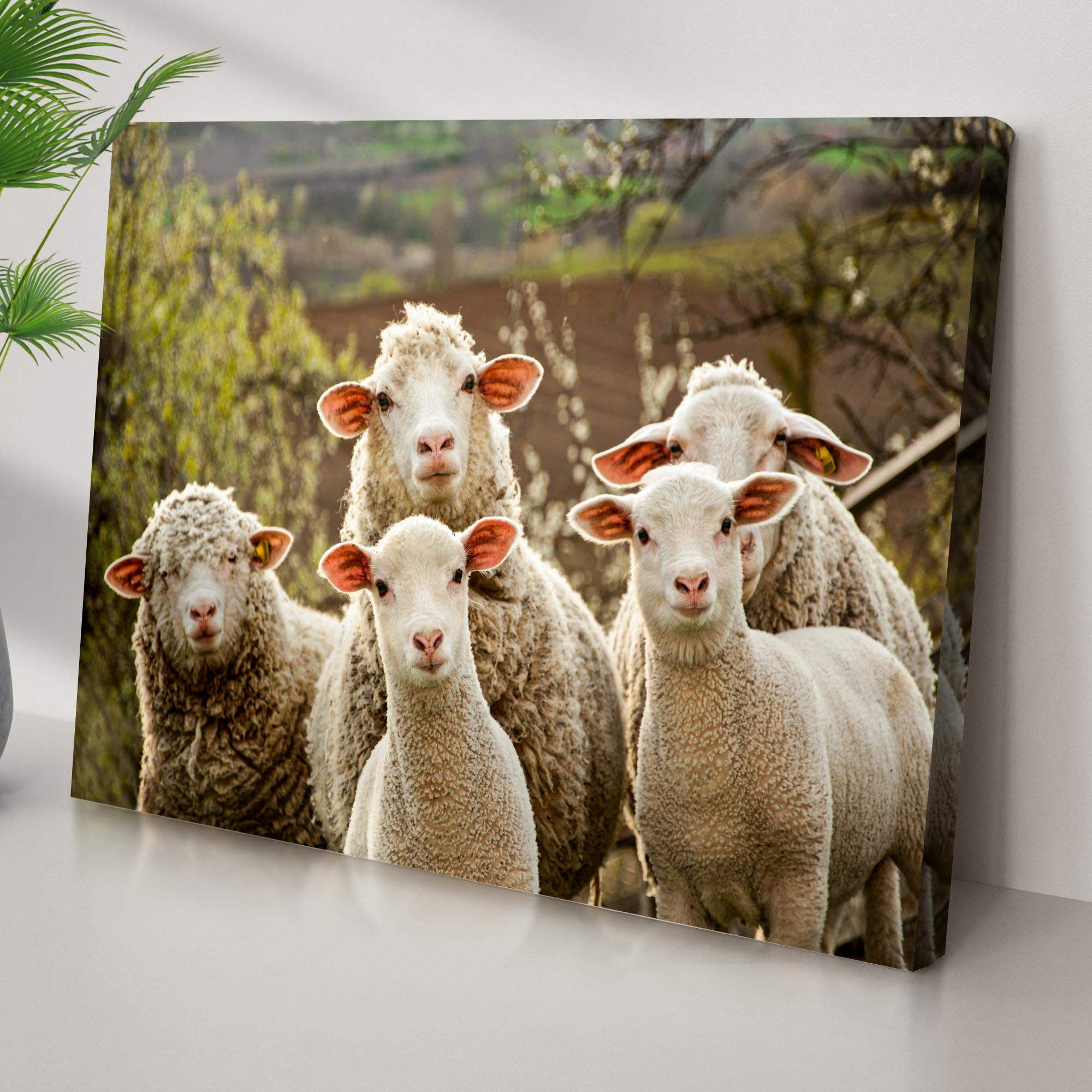 Curious Sheep Canvas Wall Art - Tailored Canvases - Flyclothing LLC