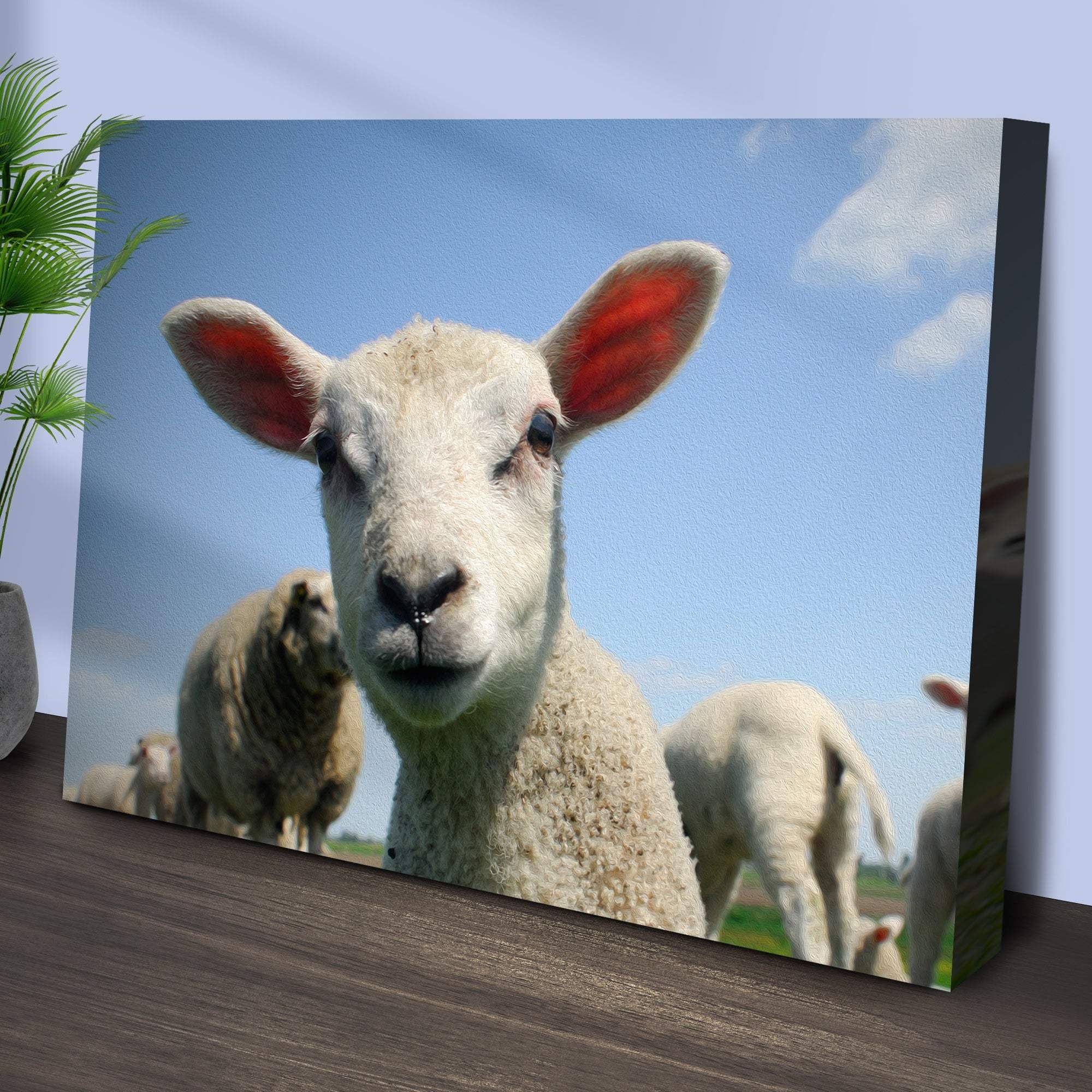 Curious Lamb Canvas Wall Art - Tailored Canvases - Flyclothing LLC
