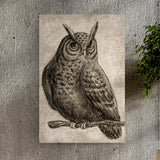 Owl Pencil Sketch Portrait Canvas Wall Art - Tailored Canvases - Flyclothing LLC
