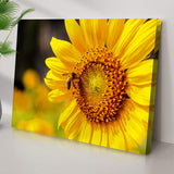Bee On Sunflower Canvas Wall Art - Tailored Canvases - Flyclothing LLC