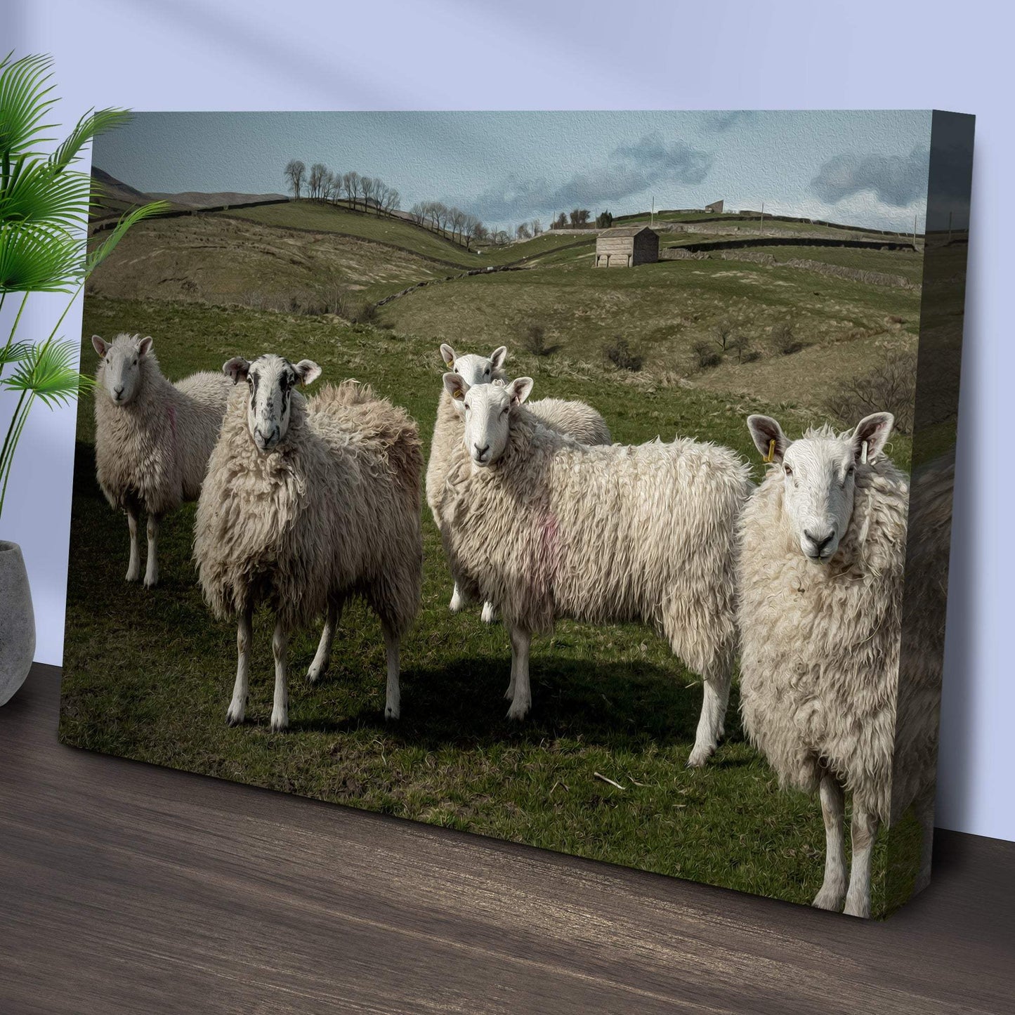 Flock Of Sheep Canvas Wall Art - Tailored Canvases - Flyclothing LLC