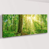 Golden Rays Into The Forest Canvas Wall Art - Tailored Canvases - Flyclothing LLC