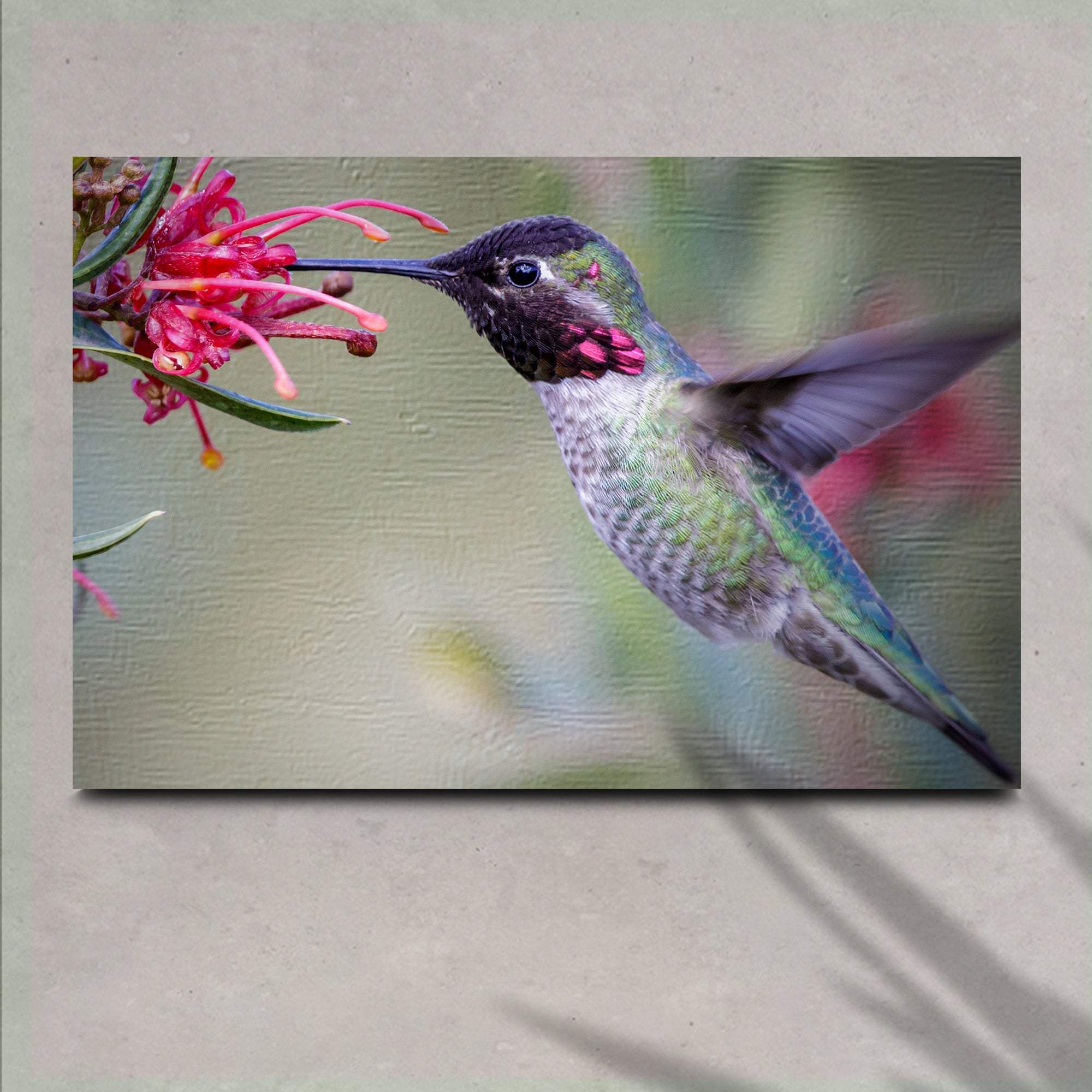 Hummingbird Spring Canvas Wall Art - Tailored Canvases - Flyclothing LLC