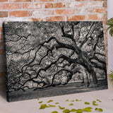 Monochrome Angel Oak Tree Canvas Wall Art - Tailored Canvases - Flyclothing LLC