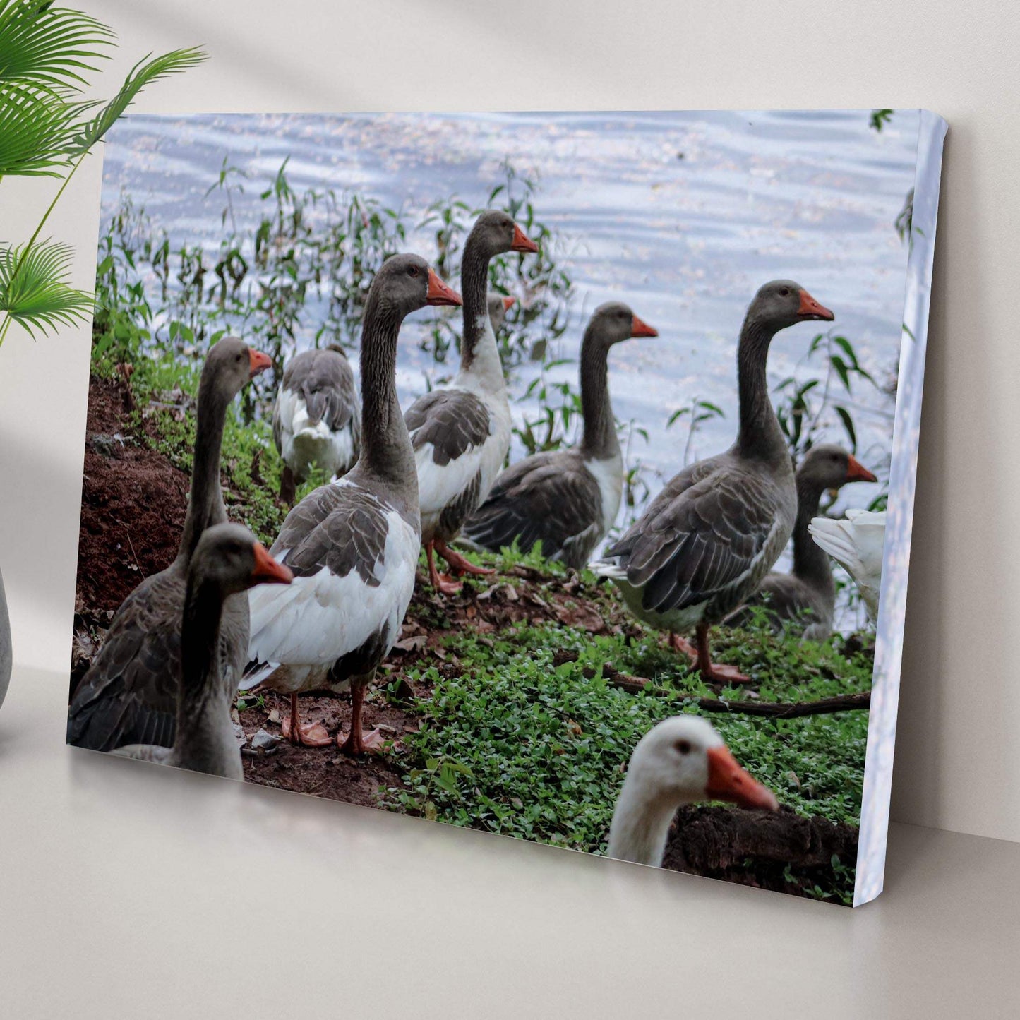 Flock Of Domestic Geese Canvas Wall Art - Tailored Canvases - Flyclothing LLC