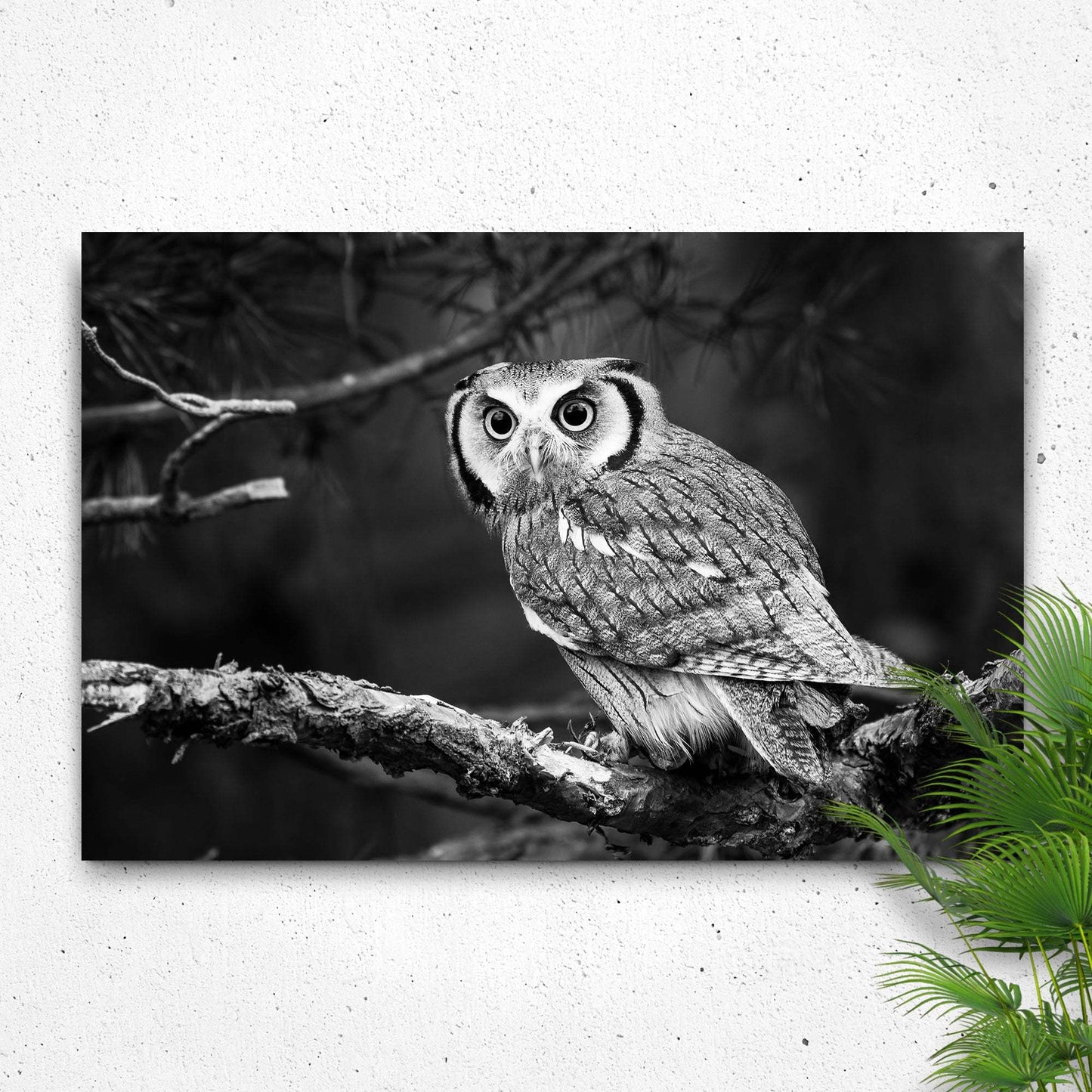 Black And White Owl Canvas Wall Art - Tailored Canvases - Flyclothing LLC