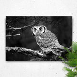 Black And White Owl Canvas Wall Art - Tailored Canvases - Flyclothing LLC