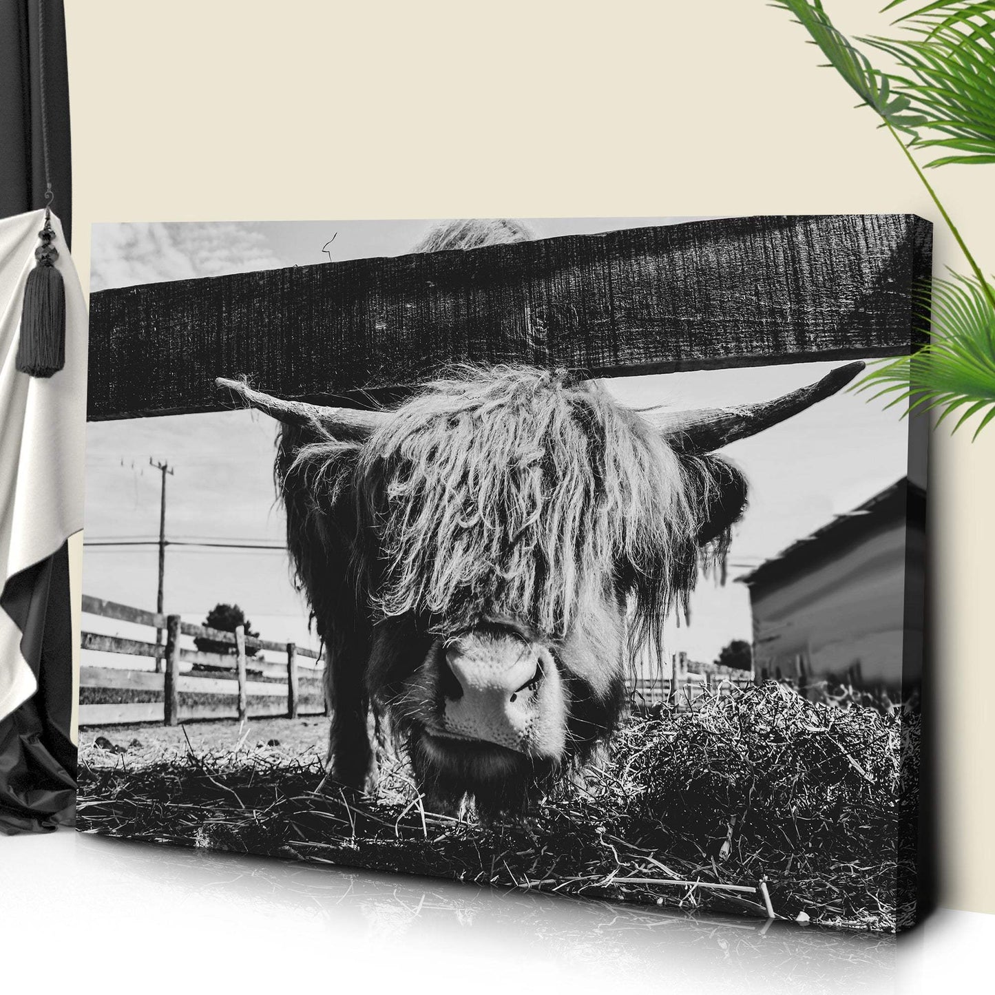 Curious Highland Cattle Monochrome Canvas Wall Art - Tailored Canvases - Flyclothing LLC