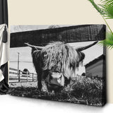 Curious Highland Cattle Monochrome Canvas Wall Art - Tailored Canvases - Flyclothing LLC