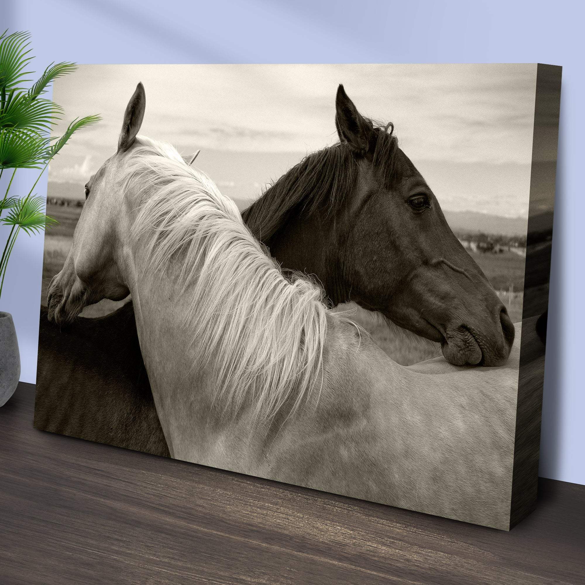 Monochrome Couple Horse Canvas Wall Art - Tailored Canvases - Flyclothing LLC