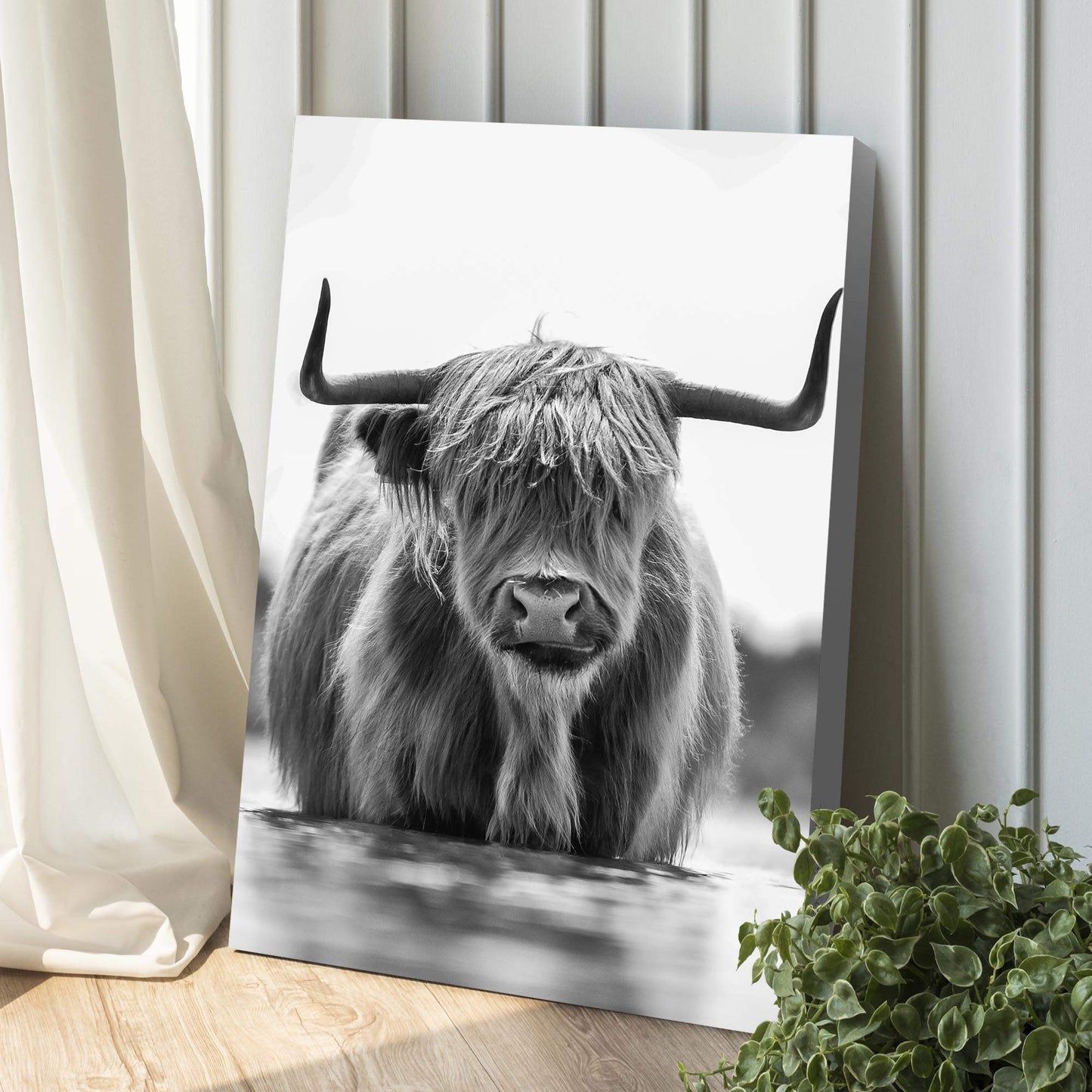Grayscale Highland Cow Portrait Canvas Wall Art - Tailored Canvases - Flyclothing LLC
