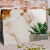 Stone Pot Succulent Plant Canvas Wall Art - Tailored Canvases - Flyclothing LLC