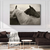 Monochrome Couple Horse Canvas Wall Art - Tailored Canvases - Flyclothing LLC