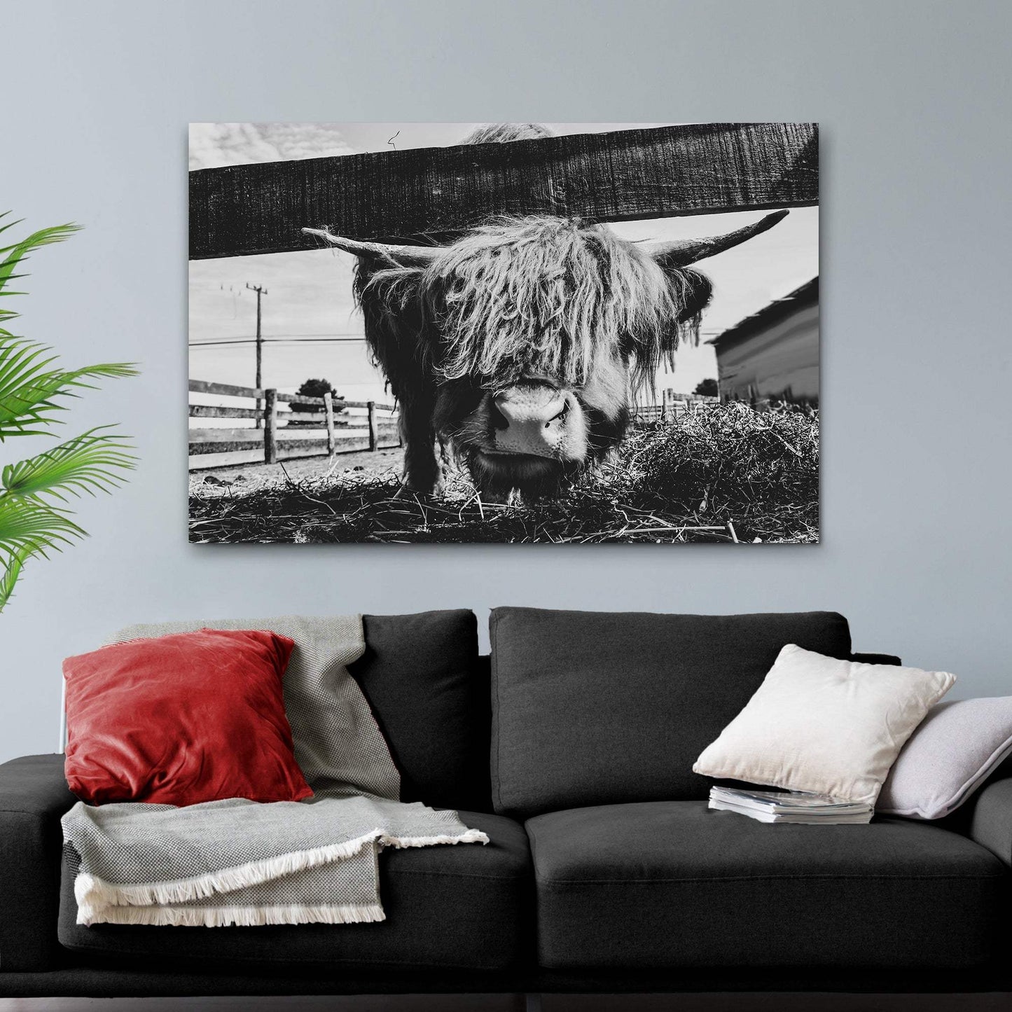 Curious Highland Cattle Monochrome Canvas Wall Art - Tailored Canvases - Flyclothing LLC