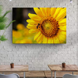 Bee On Sunflower Canvas Wall Art - Tailored Canvases - Flyclothing LLC