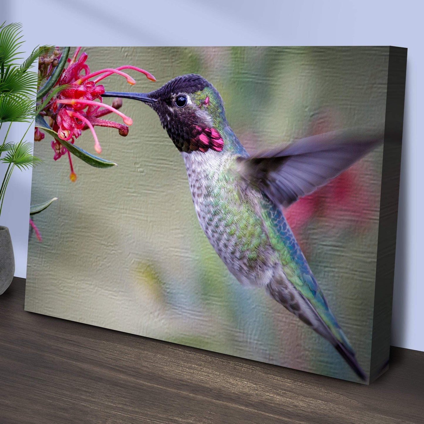 Hummingbird Spring Canvas Wall Art - Tailored Canvases - Flyclothing LLC