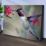 Hummingbird Spring Canvas Wall Art - Tailored Canvases - Flyclothing LLC