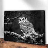 Black And White Owl Canvas Wall Art - Tailored Canvases - Flyclothing LLC