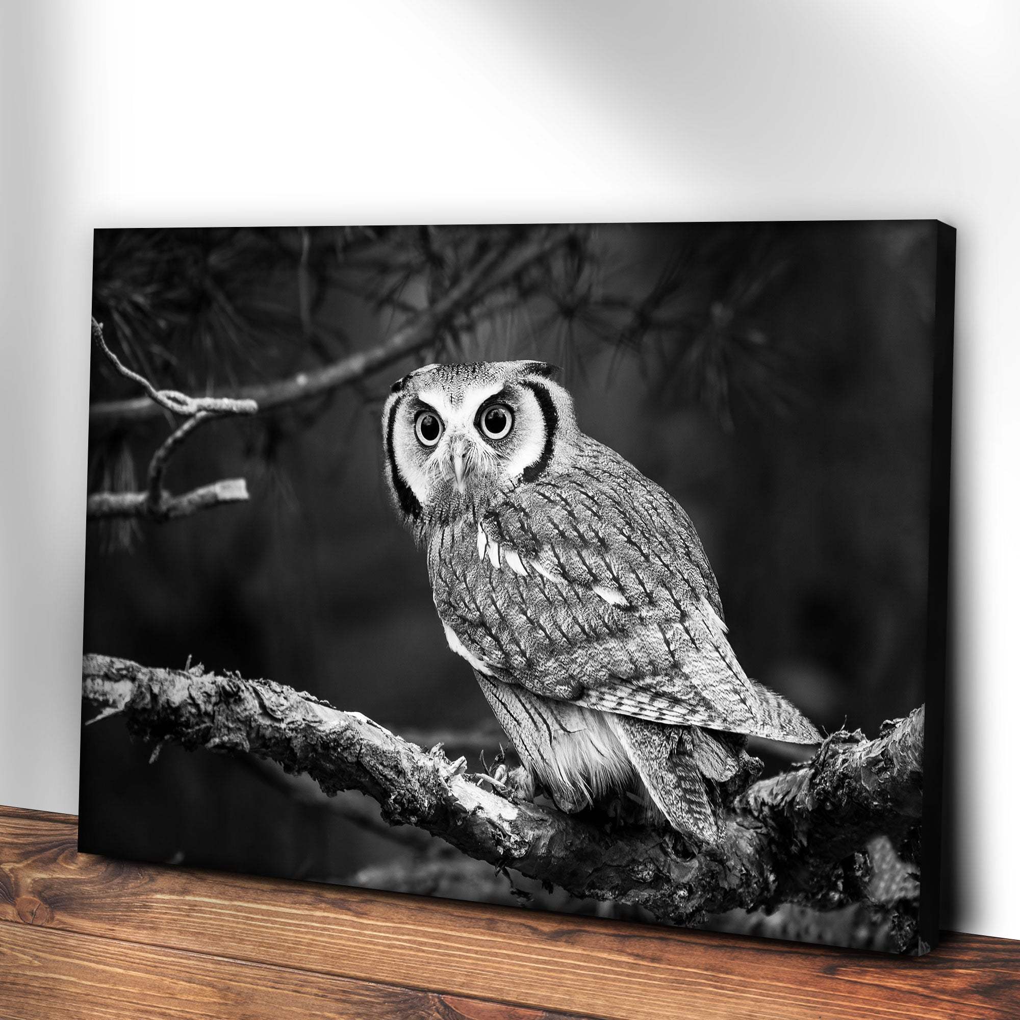 Black And White Owl Canvas Wall Art - Tailored Canvases - Flyclothing LLC