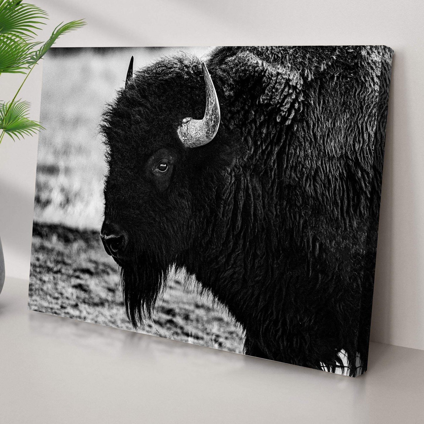 Black and White Bison Canvas Wall Art - Tailored Canvases - Flyclothing LLC