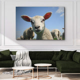 Curious Lamb Canvas Wall Art - Tailored Canvases - Flyclothing LLC