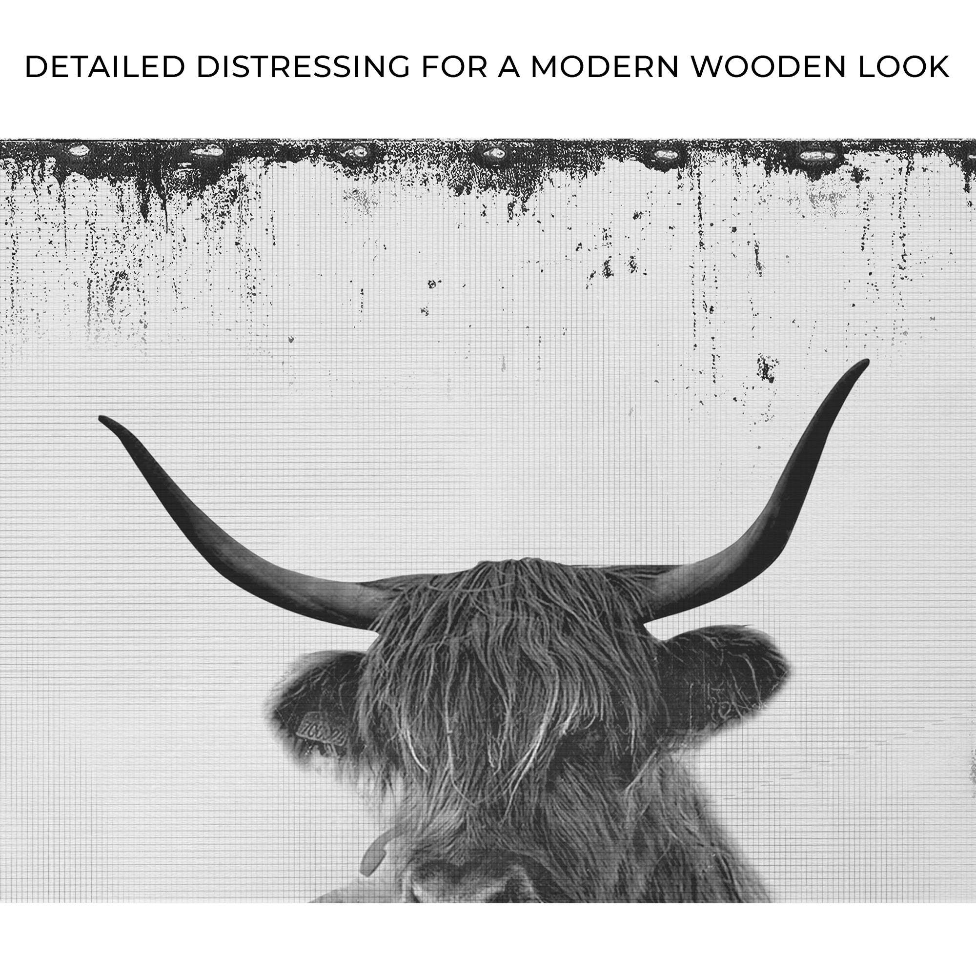 Highland Cattle Bath Canvas Wall Art II - Tailored Canvases - Flyclothing LLC