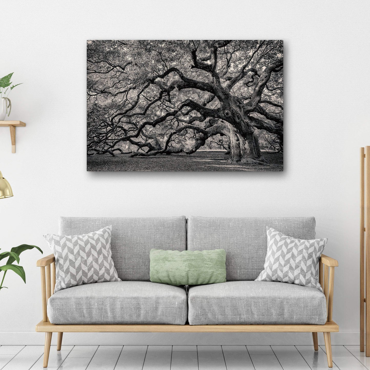 Monochrome Angel Oak Tree Canvas Wall Art - Tailored Canvases - Flyclothing LLC