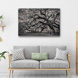 Monochrome Angel Oak Tree Canvas Wall Art - Tailored Canvases - Flyclothing LLC